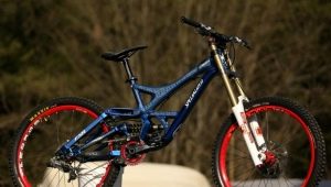 How to choose a bike for freeride?