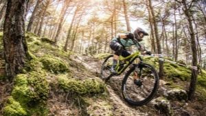 How to choose a bike for cross country?