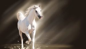 Which animal will be the symbol of 2050?