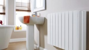 Bathroom heaters: what are and how to choose?