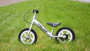 Triumf Active Runbike Review