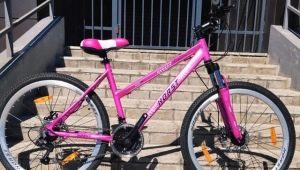 Bicycle review Horst