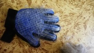 Gloves for combing pet hair: what are and how to choose?