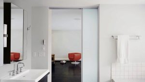 Sliding bathroom doors: varieties, recommendations for choice