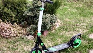 Triumf scooters: an overview of models and operating tips