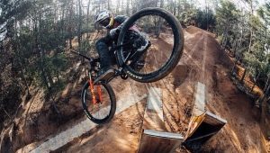 Bicycles for street and darts: description, brands, choice, use