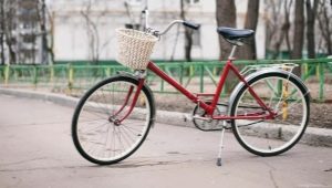 Bicycles Salute: characteristics and modernization
