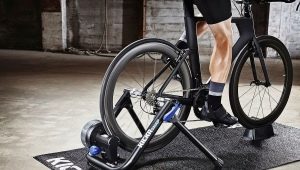 Bicycle station: purpose, varieties, brands, choice