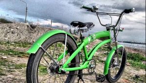 Fenders for a bicycle 29 inches: what are and how to choose?