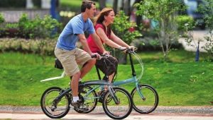 Overview of the smallest bikes