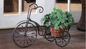 Bicycle stand for flowers: varieties, recommendations for selection