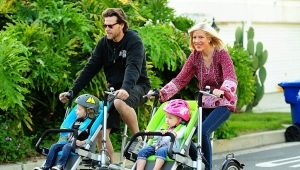 Wheelchair: types and choices