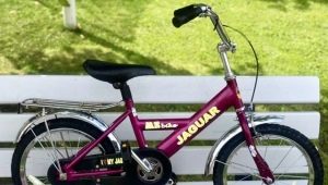 Jaguar Bikes: Model Overview and Selection Secrets