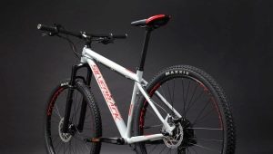 Silverback bicycles: pros and cons, varieties, choice