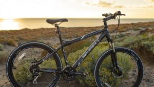 Smart bikes: specs, models, selection tips