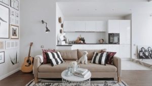 Beige sofas in the interior: color combinations, styles and choices
