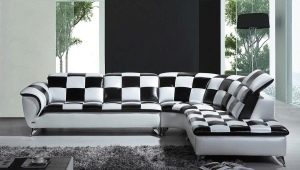 Black and white sofas: features and rules of combination