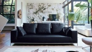 Black sofas: varieties and choices in the interior