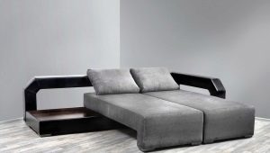 Double sofas: features, types and choices