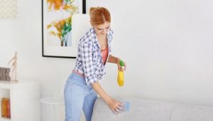 How to clean a sofa at home?