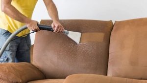 How to clean the sofa from greasy at home?