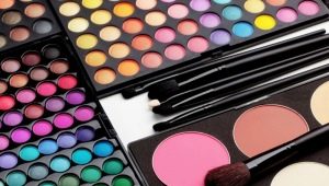 Eye cosmetics: a description of the types and secrets of choice