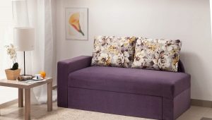 Small sofas with a berth