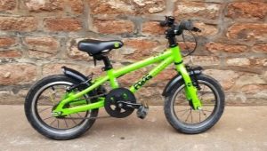 Popular Frog Bicycle Models