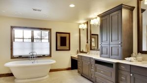 Cabinets in the bathroom: types and choices