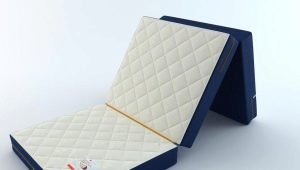 Folding mattress on a sofa for sleeping: features and choice