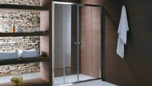 Glass shower doors: features, sizes and design