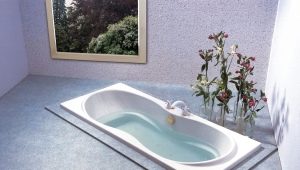 Baths: varieties, brands, choice