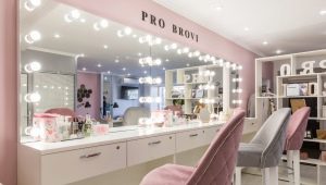 How to organize the workplace of a master brows specialist?