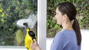 How to choose a steam generator for the home?