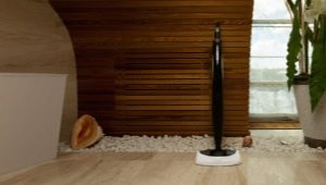 Steam generators and steam cleaners Bork: advantages and disadvantages, assortment