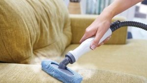Furniture steam cleaners: characteristics, rules for selection and operation