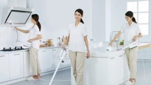 Xiaomi steam cleaners: variety and choice