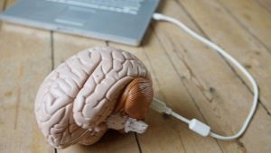 Free memory: features and methods of development