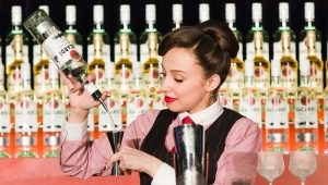 Bartender Summary: Compilation Tips, Key Points