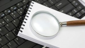 Investigator: duties and differences from the interrogator