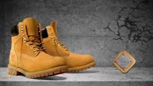 Winter shoes Timberland: description, assortment, selection criteria