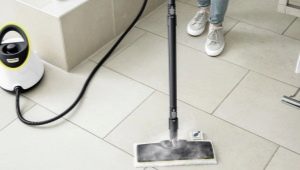 Steam cleaners: characterization, application and selection