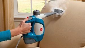 Steam stations (steam generators): what is it and how to choose?