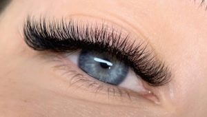 What does the D-curl of eyelashes look like and to whom does it fit?