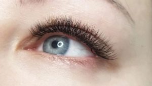 What do M curved eyelashes look like and who are they for?