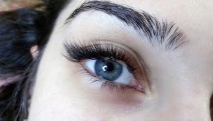 All About L Curved Eyelashes