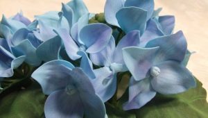 Com fer hortènsia a partir de foamiran?