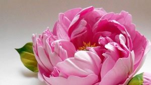 Peonies sorprenents del foamiran