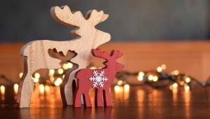 All about New Year's deer