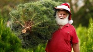 All About Australia's New Years Eve